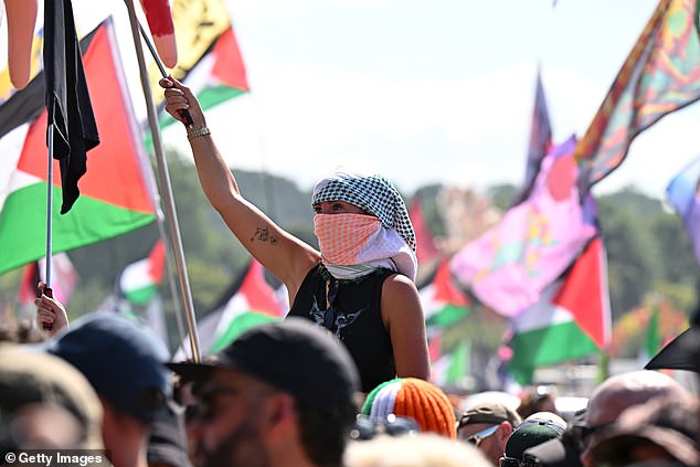 A member of the crowd amid a sea of Palestinian flags as Kneecap start to play their set