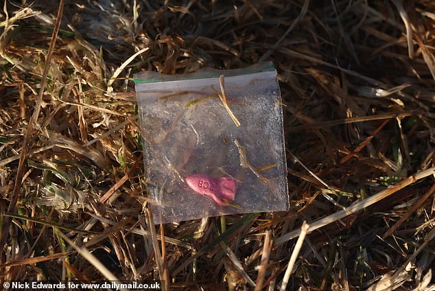 A small plastic bag containing a pink rocket-shaped pill was found on the floor having been left behind by revellers