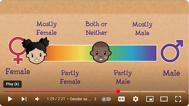 Officially called the 'Gender-Questioning Children Guidance', it forbids schools from teaching 'gender identity' views as fact (pictured: an educational resource on gender identity from the group Pop'n'Olly)