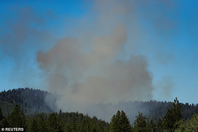 Roley, who was 5-foot-8, is believed to have fatally shot two firefighters and wounded a third on Sunday after lighting a bush on fire and ambushing the first responders