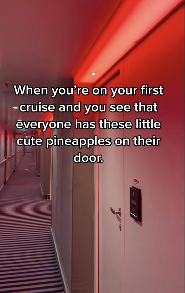 It comes after a cruise ship passenger discovered why some holidaymakers attach pineapple signs to their room doors