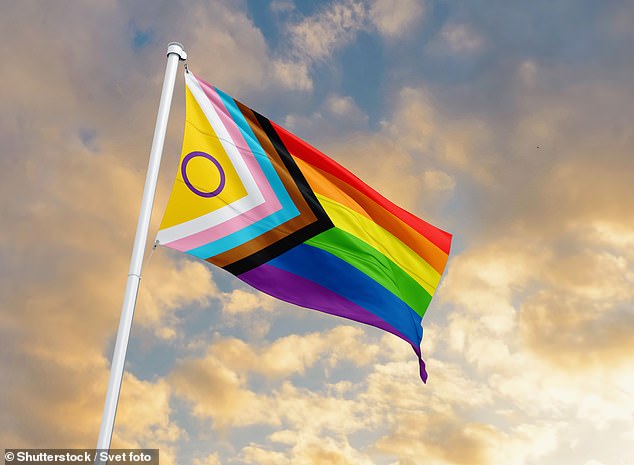 The banner depicted the 'Progress Flag', which also includes colours to represent trans people. Pictured: File photo