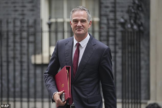 Peter Kyle, the Technology Secretary, pictured in June, said he was considering limiting access to apps to two hours a day, outside of school time and before 10pm