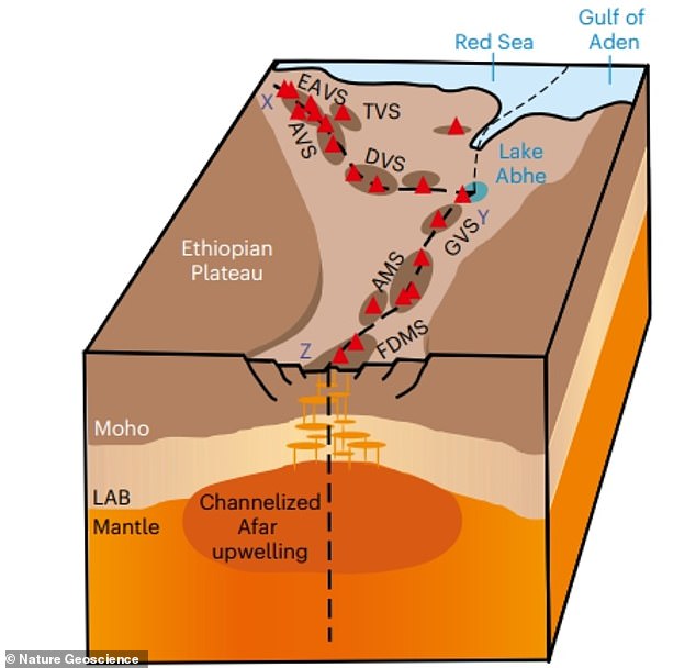 Scientists at the University of Southampton uncovered evidence of rhythmic surges of molten mantle rock rising from deep within the Earth beneath Africa. These pulses are gradually tearing the continent apart and forming a new ocean