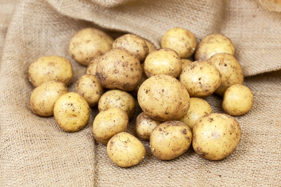 Pile of fresh potatoes on burlap.