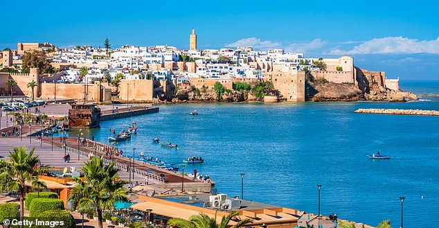 Popular tourist destinations like Egypt, Tunisia, Morocco (pictured) and Turkey all carry a high risk of dogs transmitting rabies to people