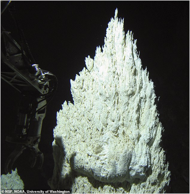 The Lost City is made up of towering spires of carbonate rock, formed by chemical reactions between seawater and hot rock from beneath the seafloor