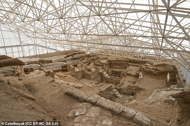The research is a culmination of 25 years of excavation and analysis and marks one of the most important geological studies in recent history