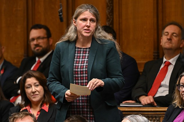 Leading rebel Rachael Maskell MP, pictured, said: 'I cannot countenance sick and disabled people being denied support to enable them to be independent, and 150,000 people being pushed into deeper poverty'