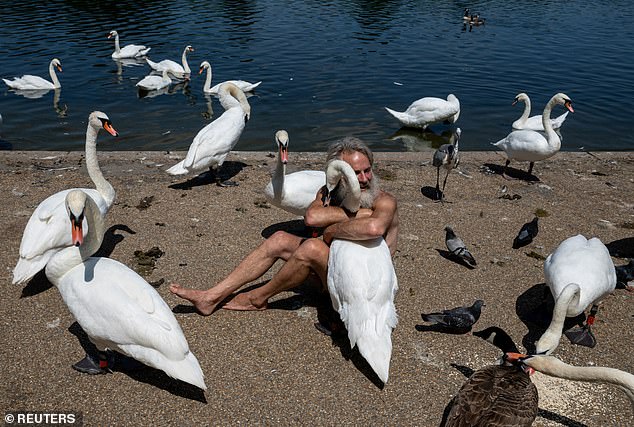 Bird-loving Fernstedt, pictured, was handed a restraining order preventing him from entering Kensington Gardens in Hyde Park or contacting two individuals who approached him