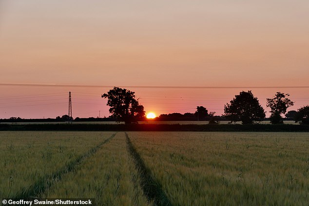 Sun rise on a warm morning in the Oxfordshire countryside at Dunsden today