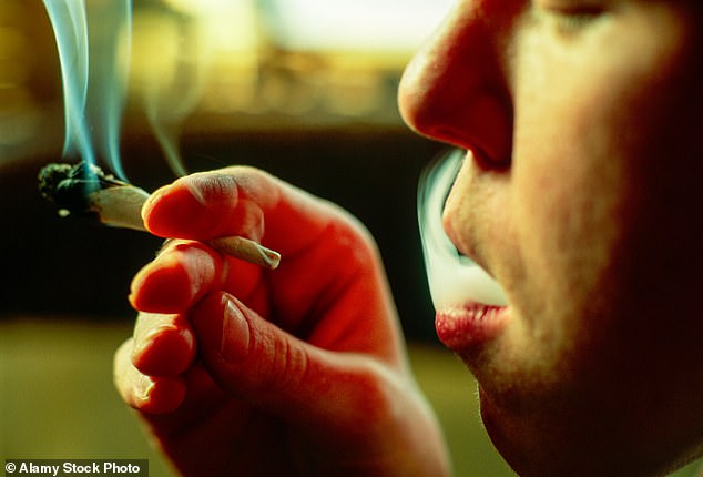 More than a quarter of police and crime commissioners have written to the policing minister calling for cannabis to be upgraded to a class A substance (file pic)