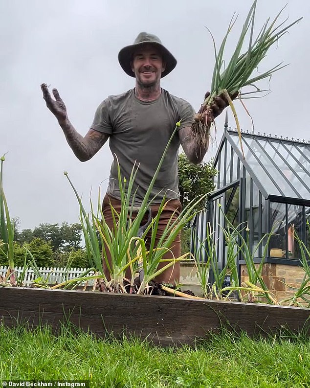The one-off edition is said to feature Beckham¿s best-loved recipe, as well as his rural champions, and the craftsmen and women who have helped to shape his Cotswolds home
