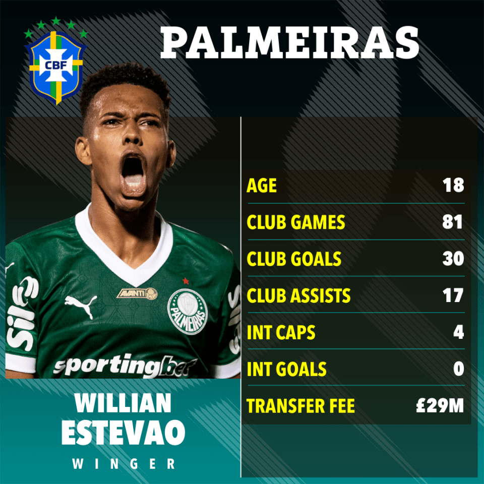 Willian Estevao, Palmeiras winger: age 18, 81 club games, 30 goals, 17 assists, 4 international caps, £29M transfer fee.