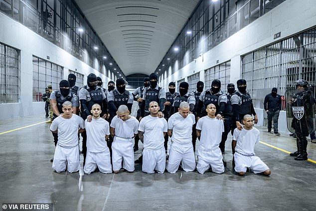 The poses at the fashion show was meant to replicate how inmates are treated in CECOT