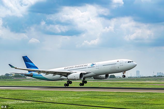 Garuda Indonesia suspended the entire crew of flight GA716 following a complaint from a passenger that his phone had been stolen while onboard (stock)