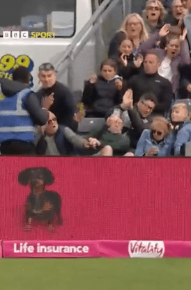 A security guard subdues a fan in the stands at a sporting event; a dachshund is depicted on an advertisement below.