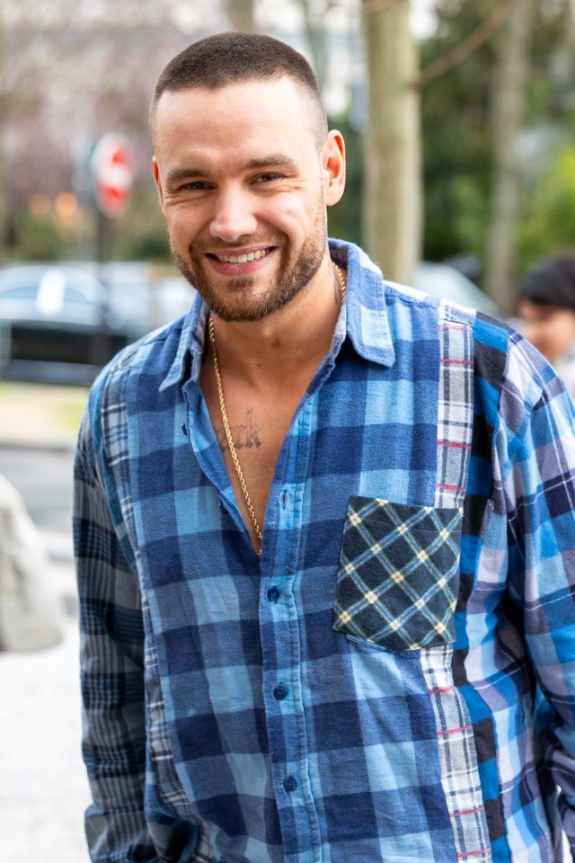 Liam Payne smiling while wearing a blue plaid shirt.