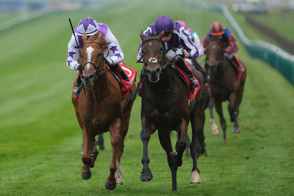 Two jockeys racing horses.
