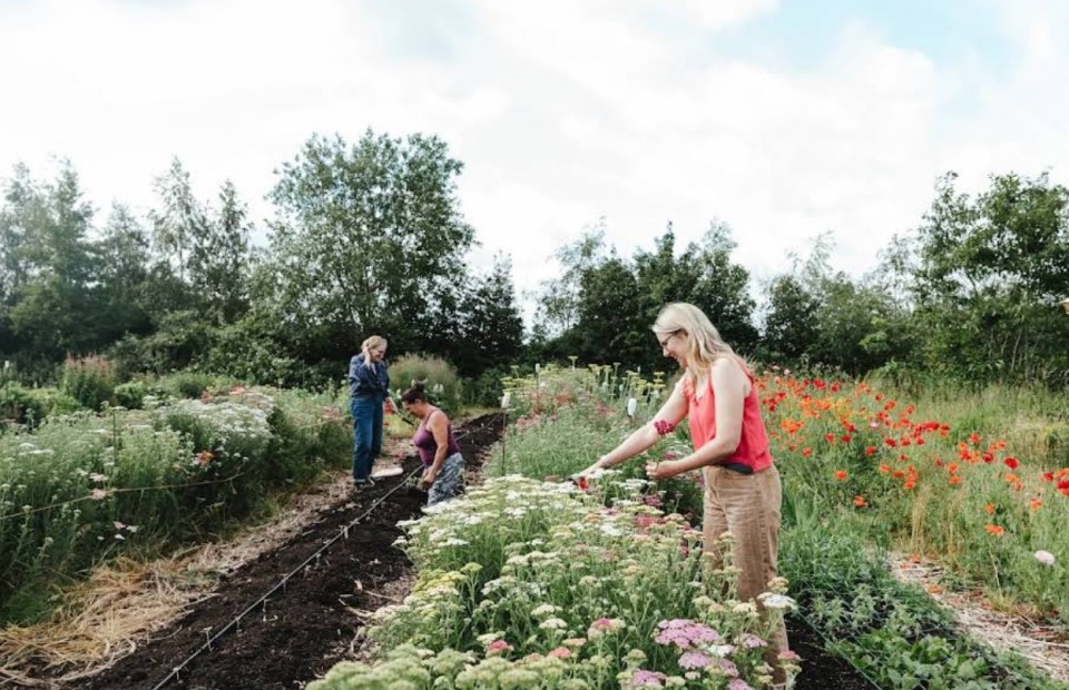 Three women tending to a flower garden.