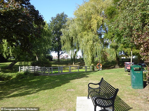 Air ambulances, paramedic crews, police and the fire brigade all rushed to Chalkwell Park (pictured, file photo) in Southend-on-Sea, Essex, just before 3pm today