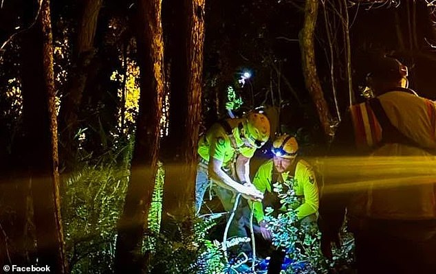 The park's search and rescue team rushed to the scene to perform the 'high-angle' operation