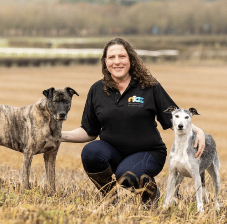 Woman kneeling in a field with two dogs.