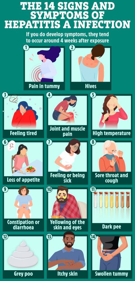 Illustration of 14 signs and symptoms of Hepatitis A infection.