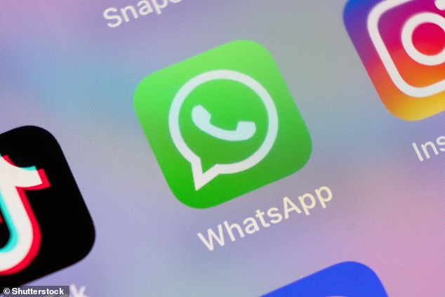The free messaging app said adverts will be rolled out to its global users in the next few months. The new ads will appear in the 'Status' section of the app under the 'Updates' tab - so away from the main chat area