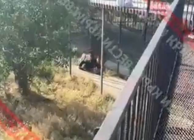 A world famous lion whisperer is fighting for his life after he was savagely mauled by a big cat