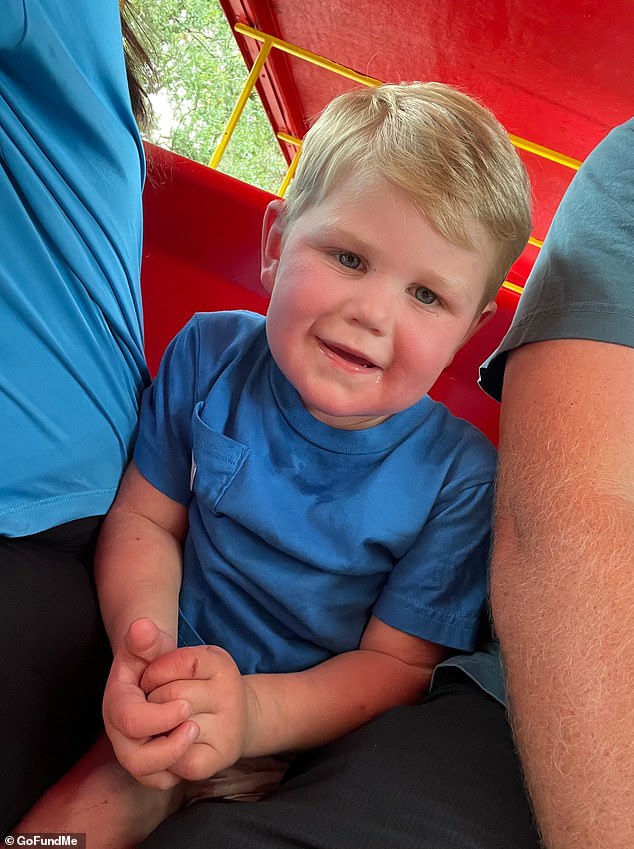 Beckham Reed was playing with his cousins on an electric toy recently when he hit a nest of wasps, which 'swarmed him head to toe'