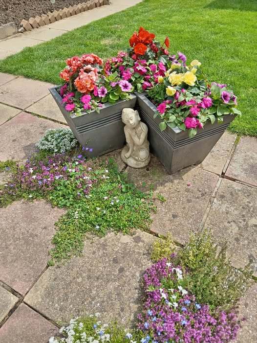 Patio with flower planters and a small statue.