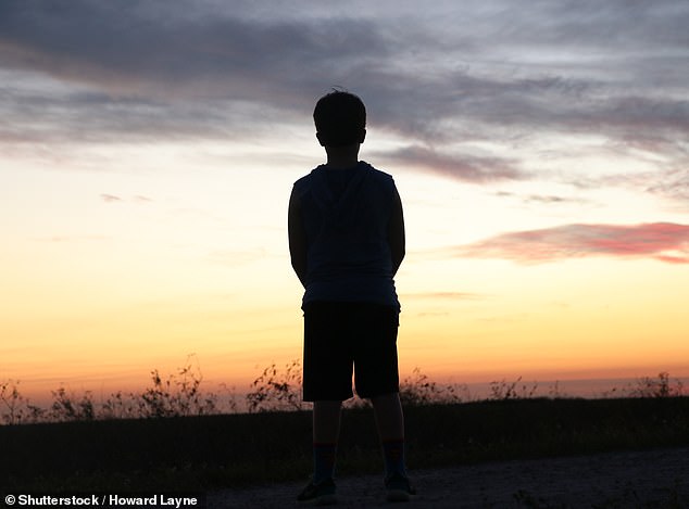 The boy said he was persuaded into joining the gang by an older boy he considered his 'best mate'. All the images used in this story are stock photos
