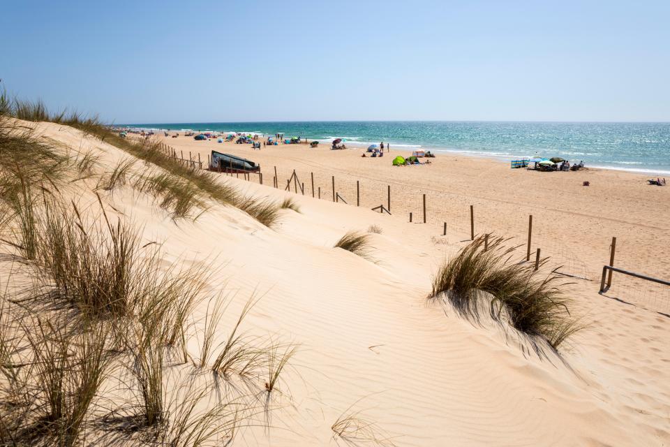 Sandy beach with people swimming and relaxing under umbrellas.