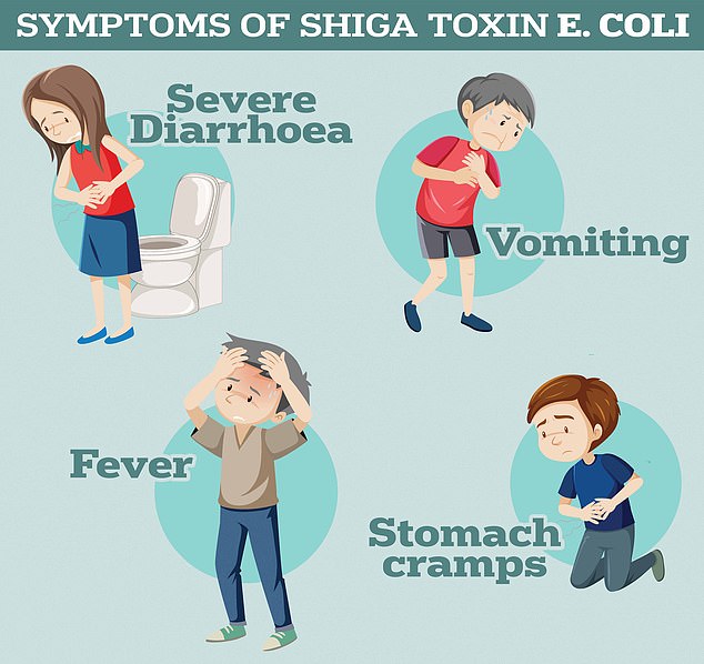 Symptoms of Shiga toxin-producing E.coli include severe diarrhoea and vomiting, according to the UK Health Security Agency