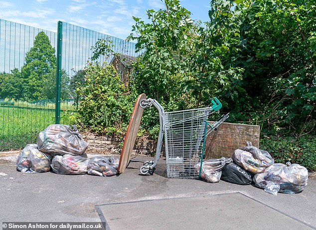 Despite the acres of green space nearby, Brinnington seems trapped in a spiral of discontent