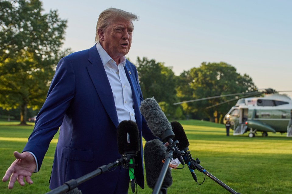 President Donald Trump speaking to reporters on the White House lawn.