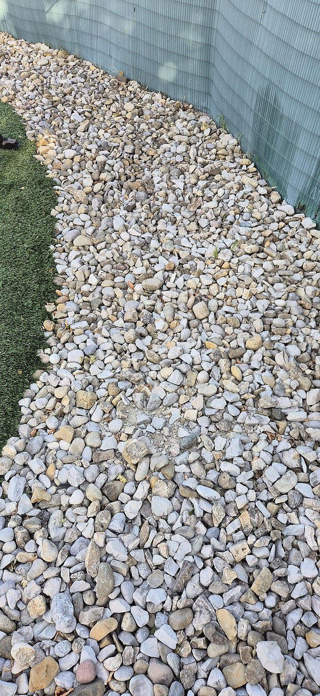 A golfer took a photo of a ball completely lost in the pebbles, and challenged commenters to find it