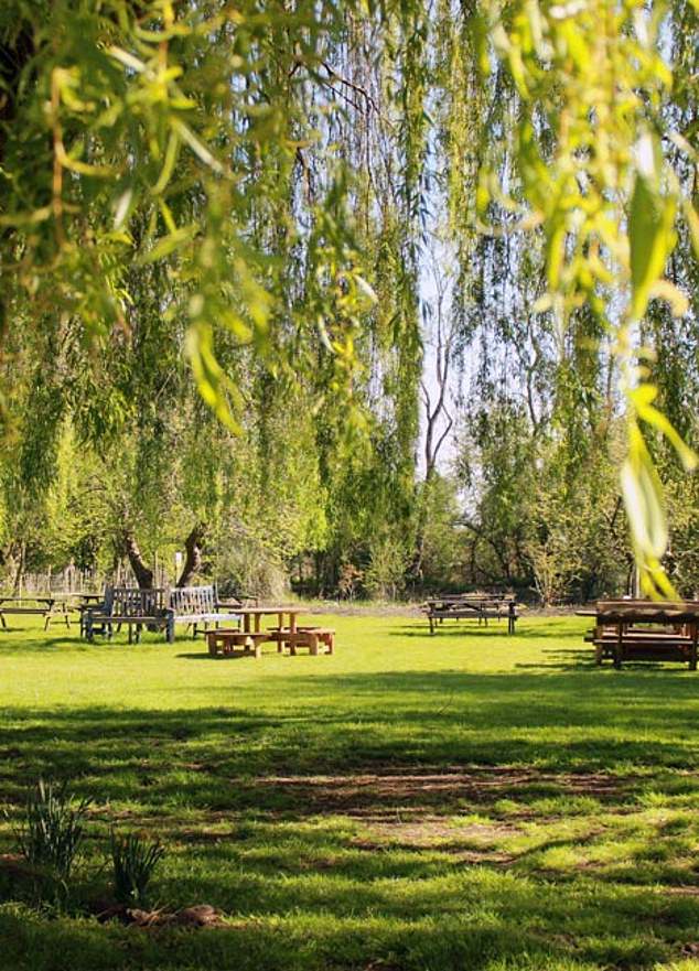 The Perch's grassy gardens have outside tables under weeping willow trees overlooking the River Isis