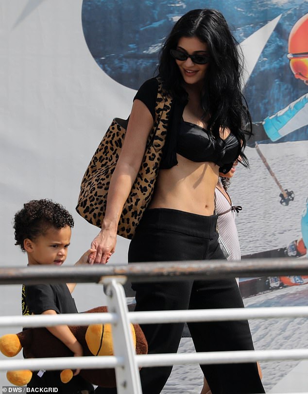 Kylie Jenner fans have convinced themselves that her boyfriend Timothée Chalamet has given her son a very special cuddly toy