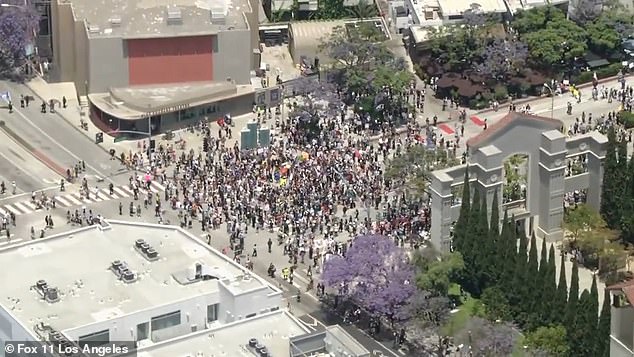 Pictured: Protestors flood a street in Culver City, a neighborhood in Los Angeles