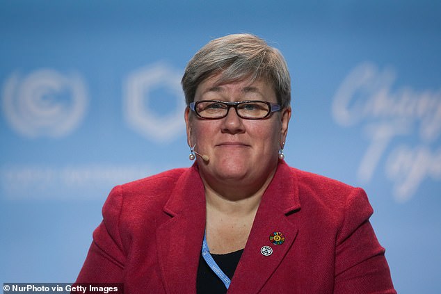 Rachel Kyte has clocked up more than 75,000 air miles since her appointment in September ¿ costing taxpayers almost £40,000
