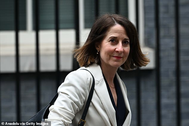 The attacks on the academies by Left-wing Education Secretary Bridget Phillipson (pictured) has dismayed moderates within the party, who believe schools are more likely to flourish if headteachers are given the freedom to run them