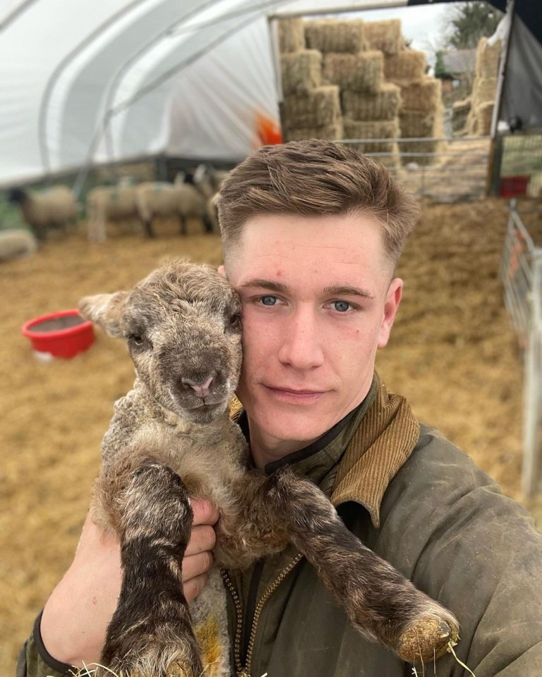 A young farmer holding a lamb.