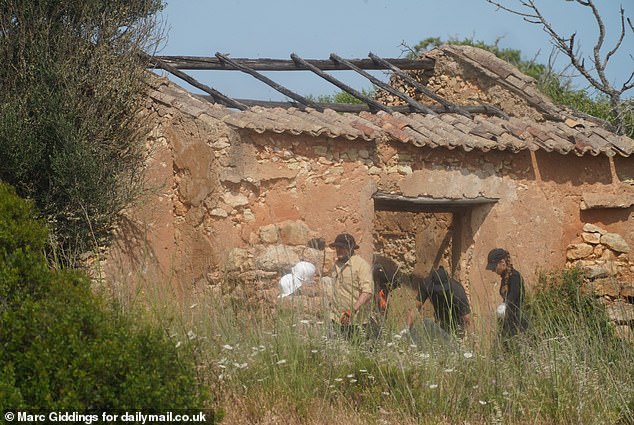 A worker could be seen using a spade to dig ground along the side of a rundown building, while others wearing gloves were seen carrying branches away