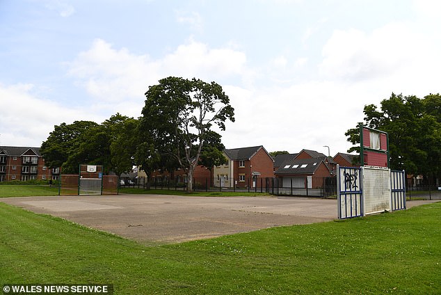 A member of the Friends of Hailey Park Committee said he find its 'staggering' that public money is being 'spent in this way'