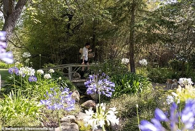 Meghan Markle has donned a casual ensemble in a previously unseen photo - after appearing to take a swipe at the royals on a new podcast