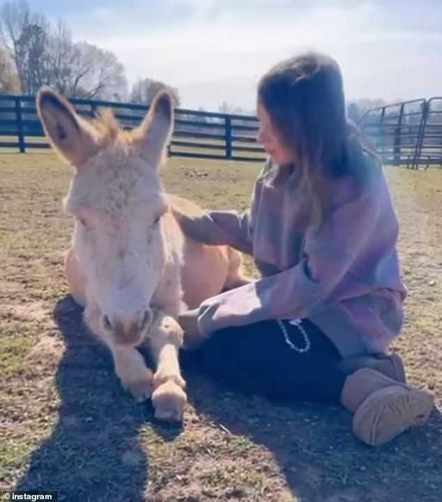 Brown didn't share any additional details about the sweet baby animal, but she¿s previously opened up about the many animals she and Bongiovi care for on their farm , including a pregnant donkey