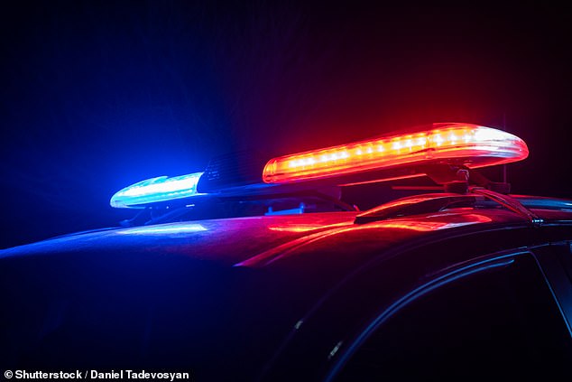 Police tonight said missing 10-year-old had Oscar been found (stock photo)