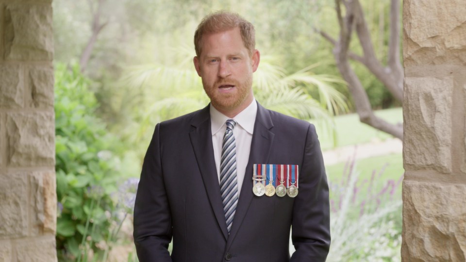 Prince Harry delivering a Veterans Day message.